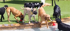 home-daycare home-daycare