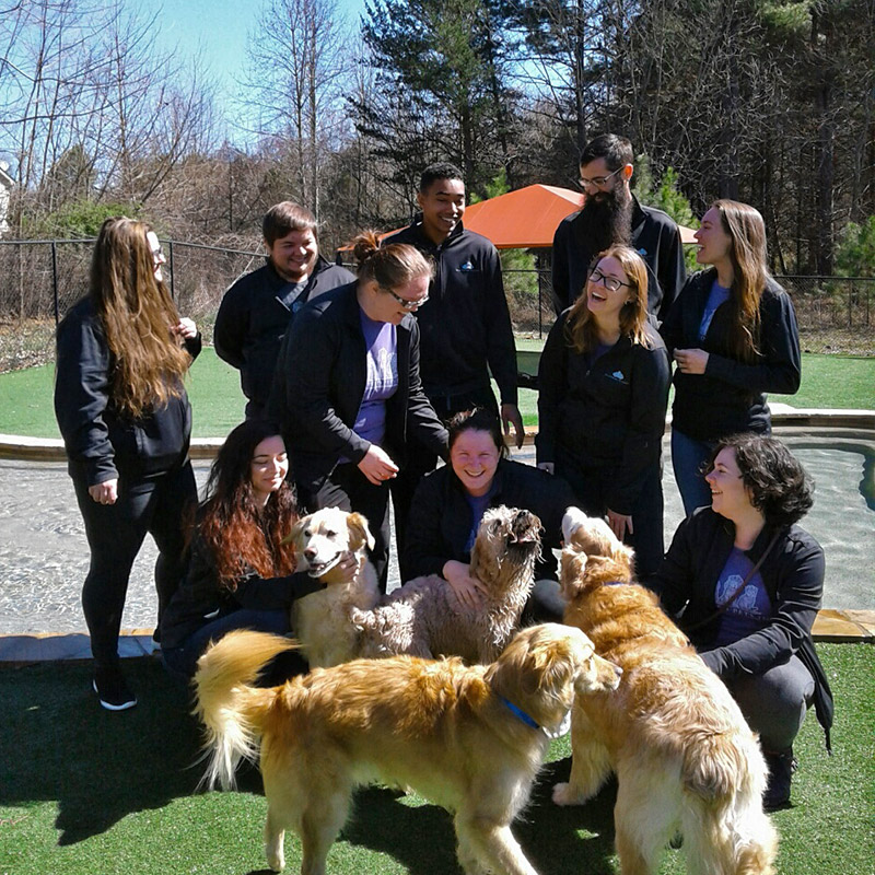 about-team about-team
