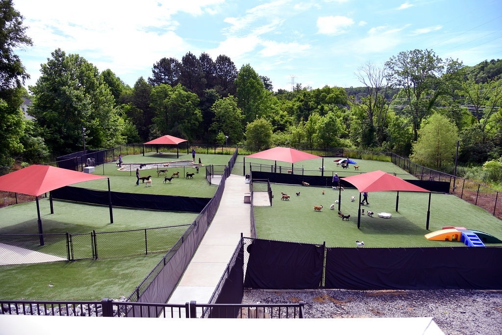 79 covered dog daycare play areas