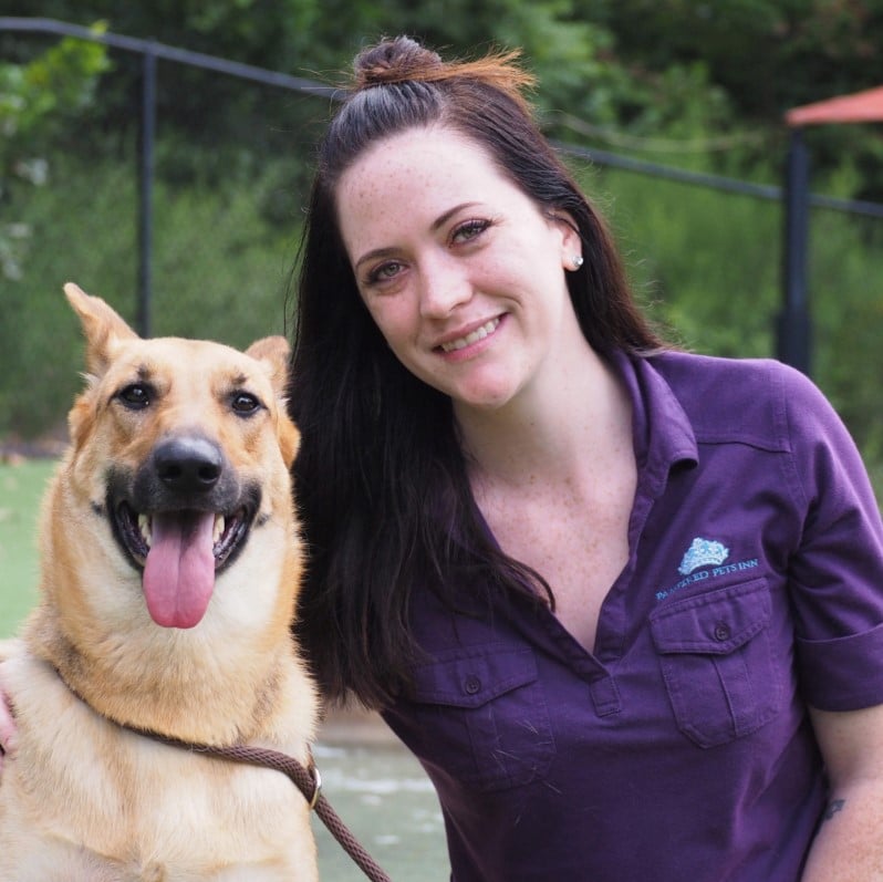 pampered pets inn staff member and dog