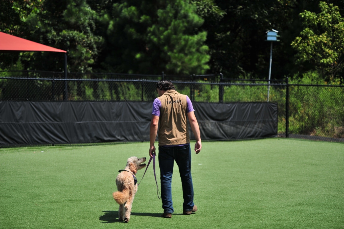 Dog Training Fayetteville NC The Ultimate Guide for Dog Owners