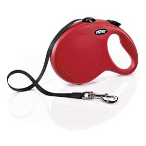 Retractable leash