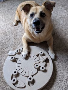 Dog puzzle