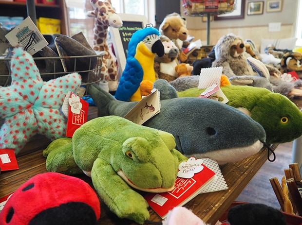 Pampered Pets Inn Store
