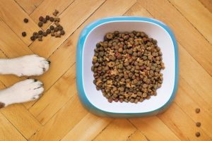 dog training kibble