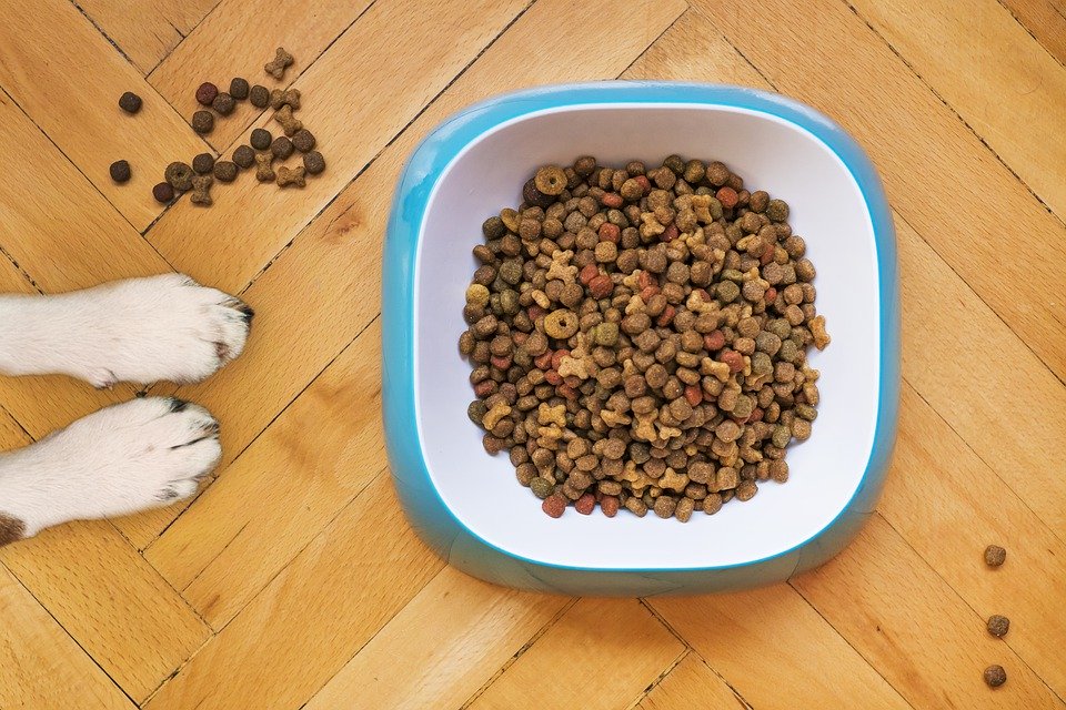 dog training kibble