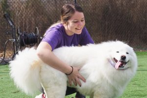 Pampered Pet's Inn hugging a big, white, fluffy dog