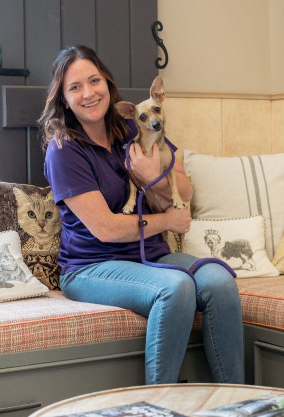 Employment Dog handler