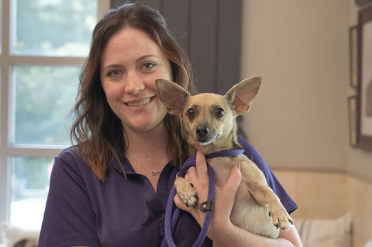 Staff holding a small dog