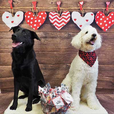Valentine's Day