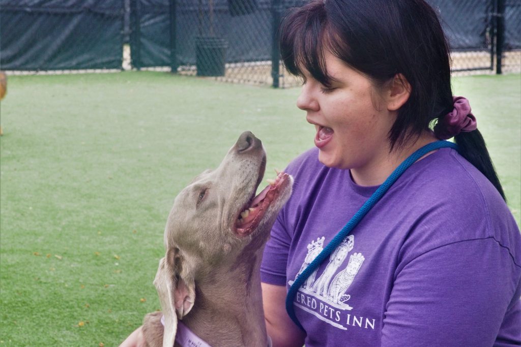 trainer working with a dog