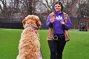 trainer working with a dog