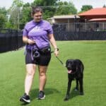 Dog trainer walking a dog outside