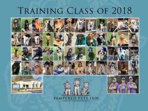 Dog Training Graduates 2018