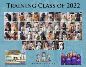 Dog Training Graduates 2022