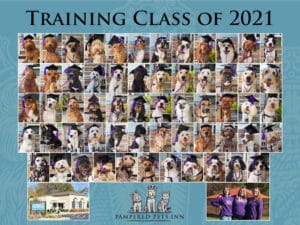Dog Training Graduates 2021