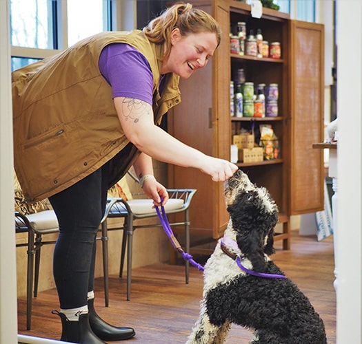 trainer giving a dog a treat