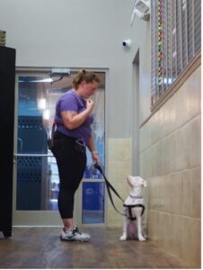 staff member with dog on leash