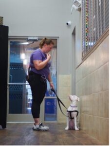 staff member with dog on leash
