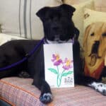 dog and picture