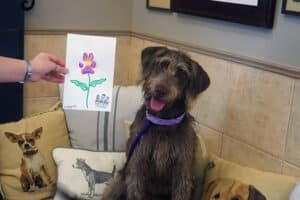 woman showing off dog's picture