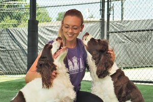 Staff with two dogs