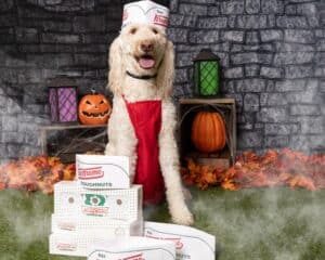 Dog dressed as a Krispy Kreme worker