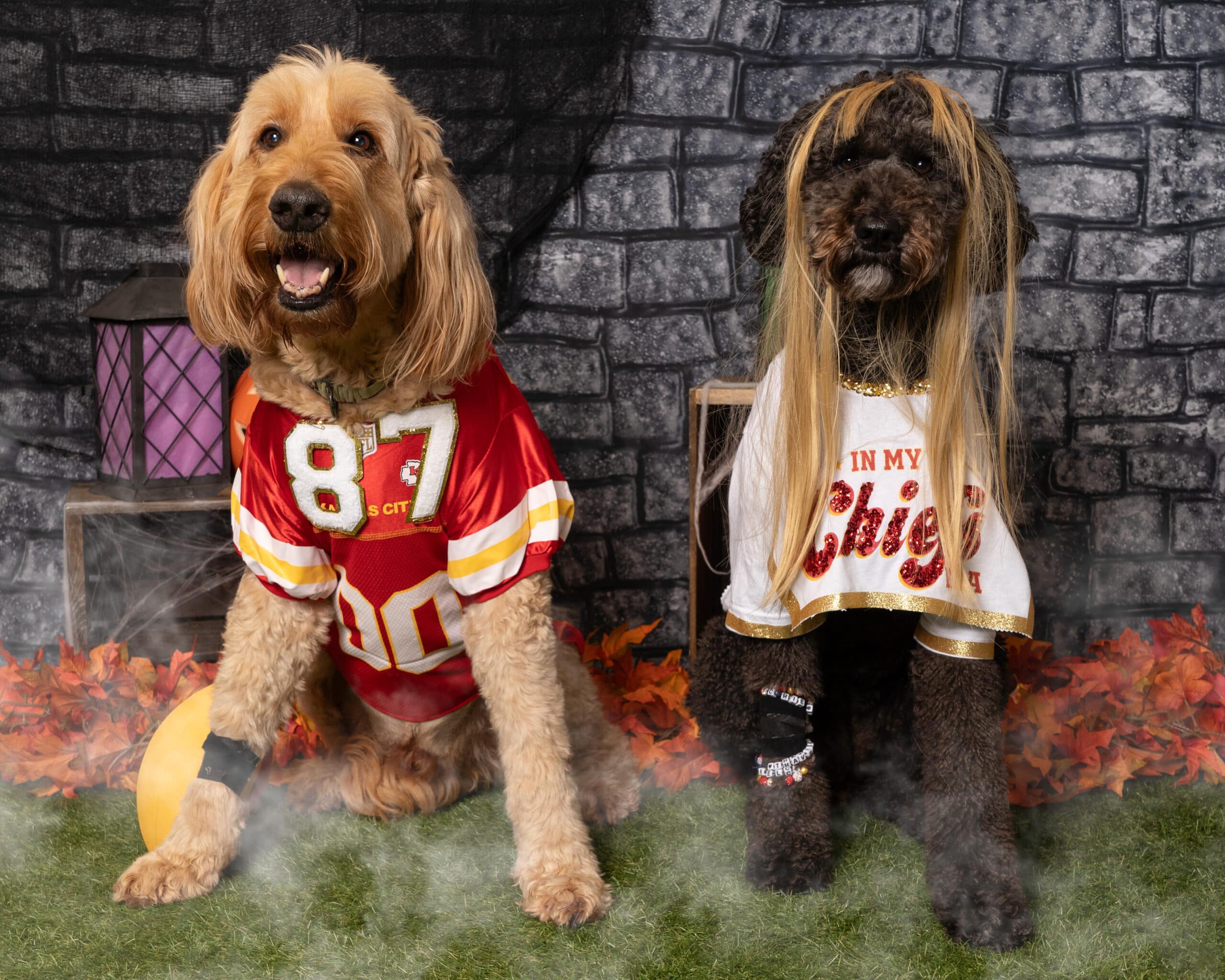 Dogs dressed as Travis Kelce and Taylor Swift