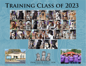 Dog Training Class of 2023