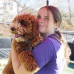 Pet handler holding a dog