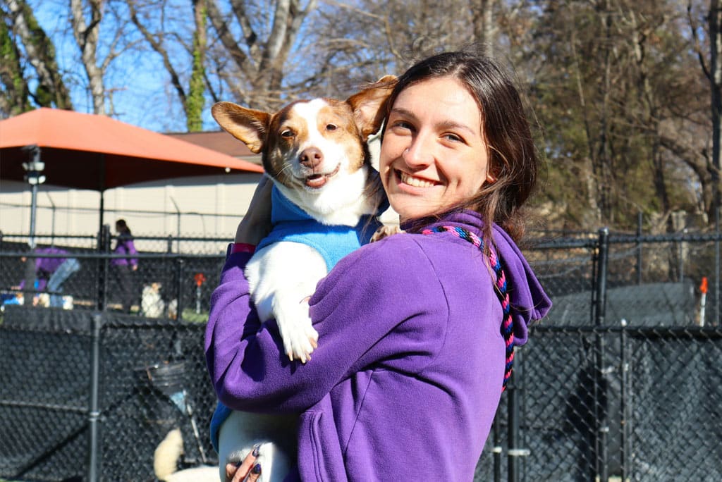 staff holding a dog