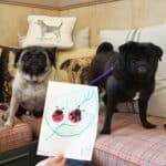 Guest with lady bug paw painting