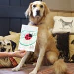 Guest with lady bug paw painting