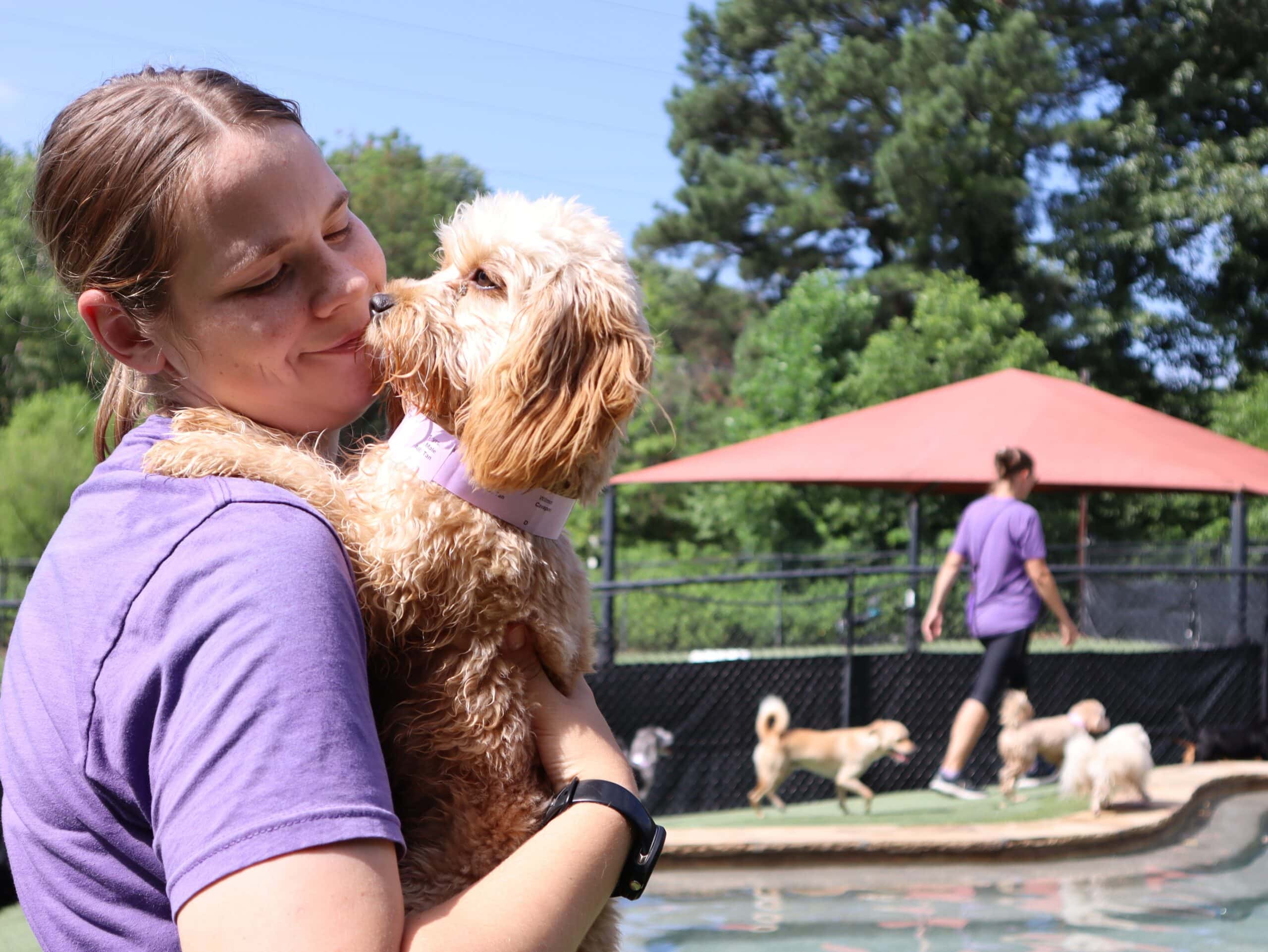 Pet Handler holding a dog