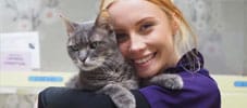 Cat Daycare