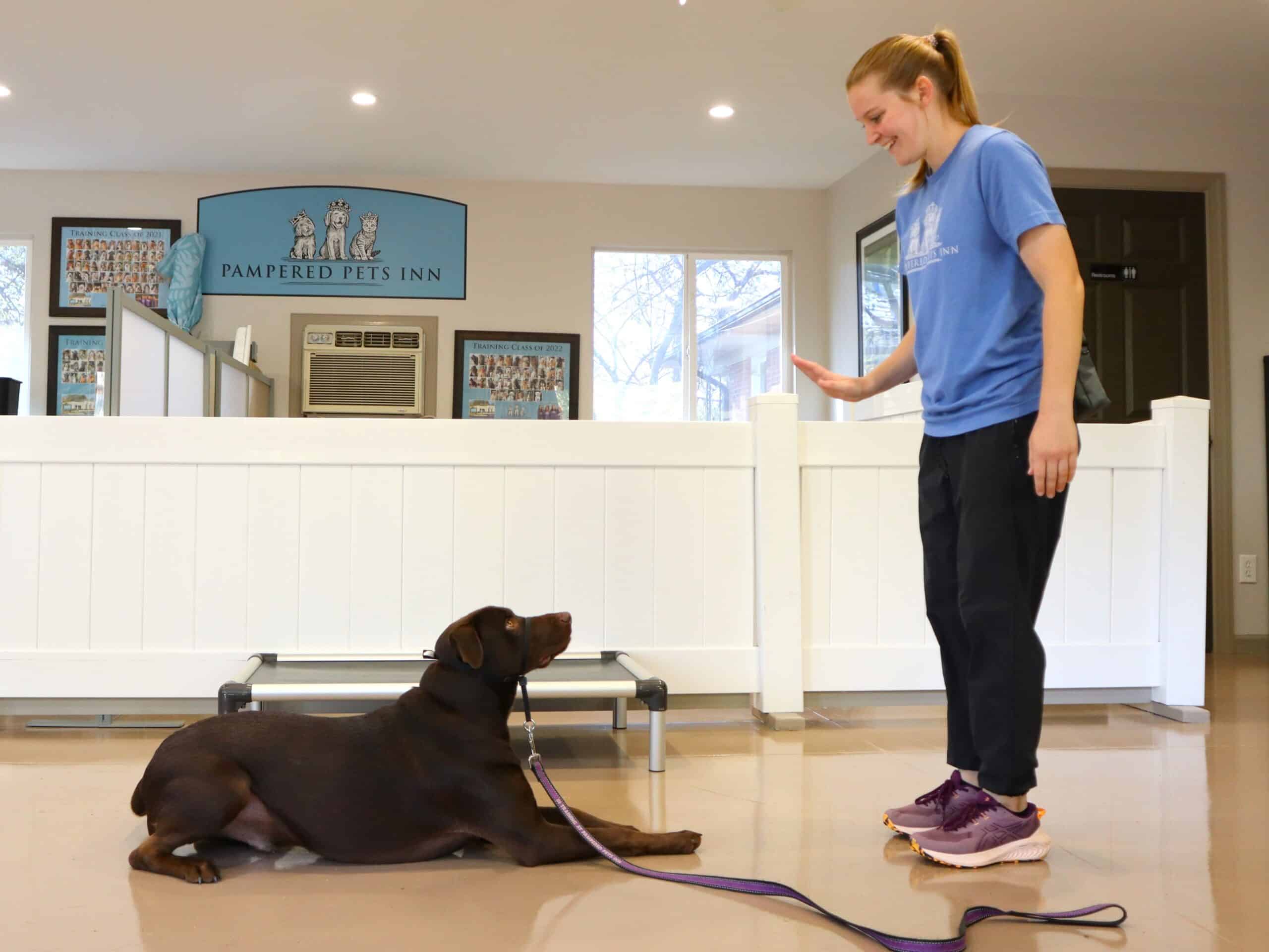 Dog Trainer and dog lying down
