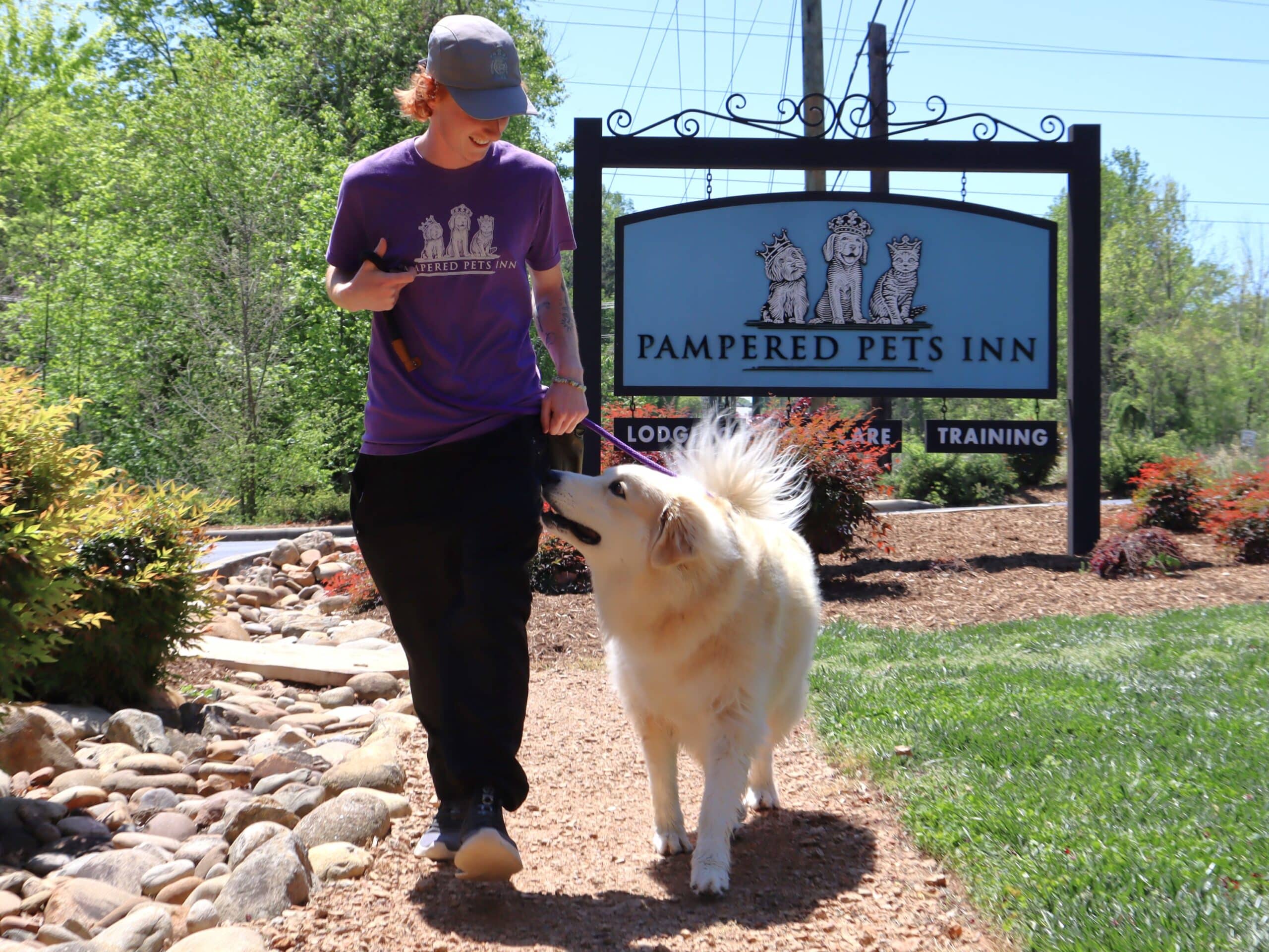 Dog trainer walking with a training dog down a path