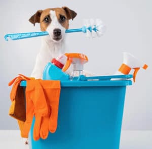 dog with cleaning supplies