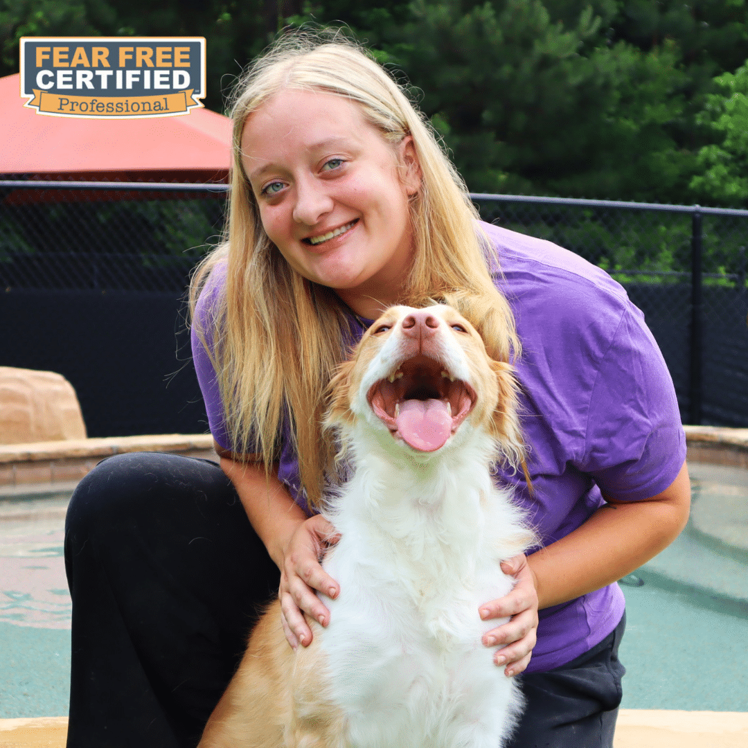 Pet Handler with dog