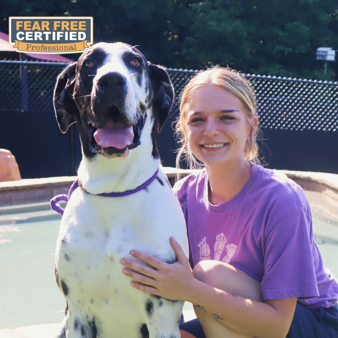 Staff member posing with a pet guest with a Fear Free Certified Professional sticker in the top left corner.