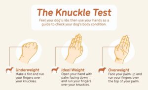 Knuckle Test to determine pet's weight 