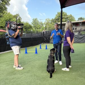 A cameraman and two people standing in a play yard with a dog and agility equipment in the background.