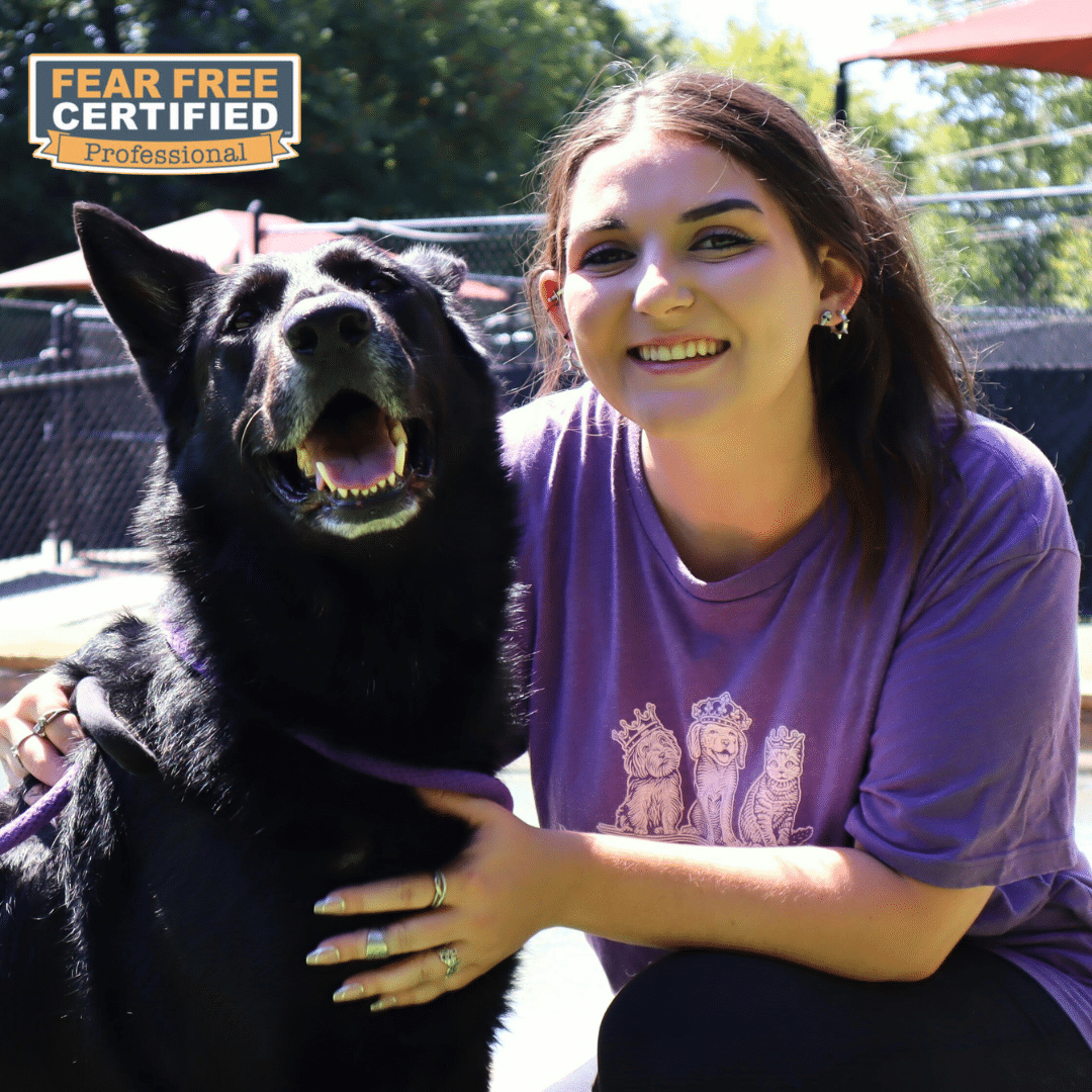 Pet Handler kneeling next to a dog