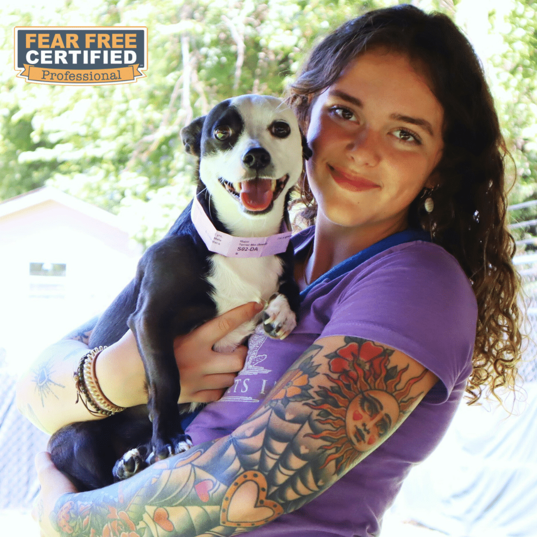 Pet Handler holding a dog