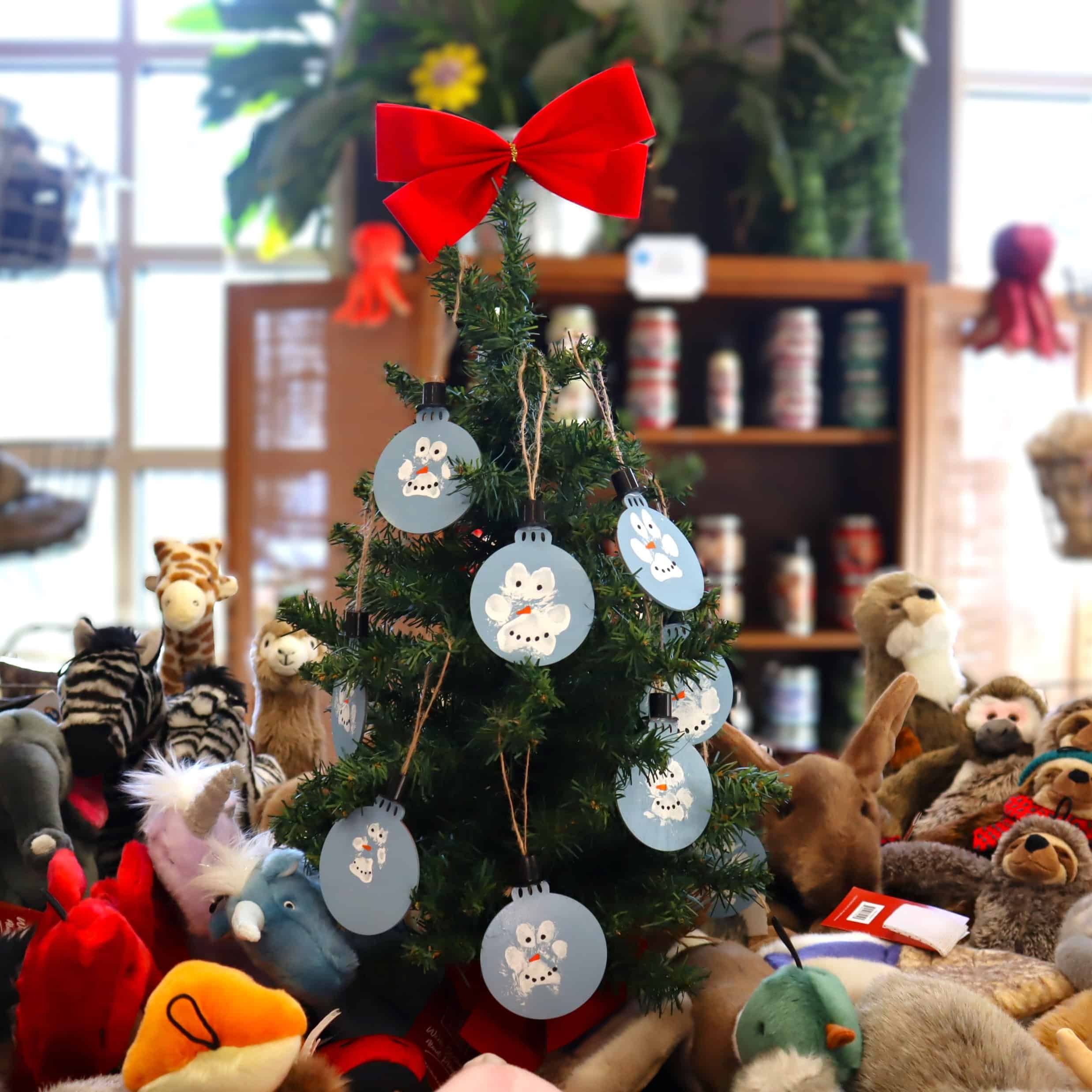 small Christmas tree in the center of a table covered with chew toys
