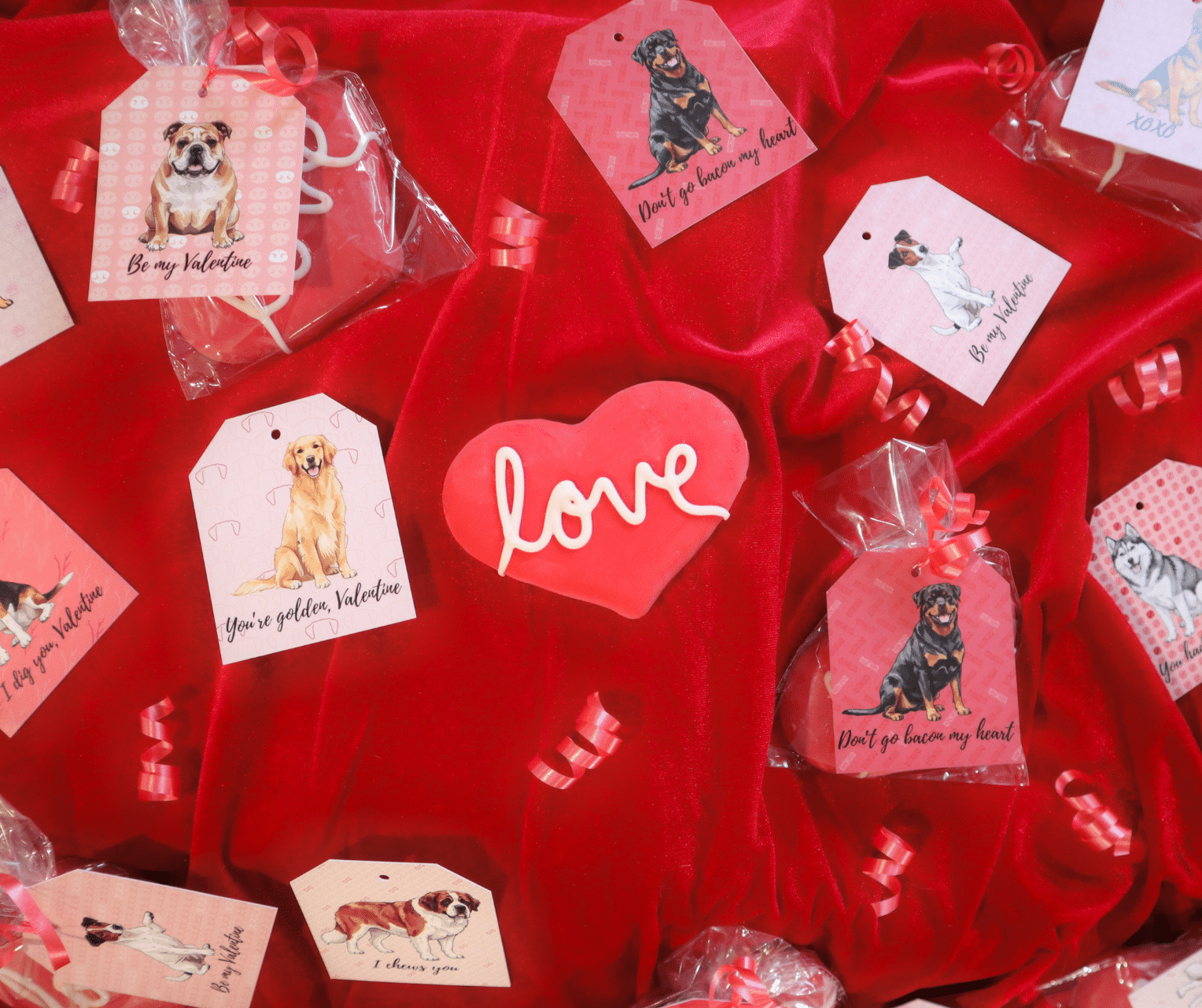 Flat lay of valentine cards, packaged valentine treats and a heart shaped dog treat on red velvet