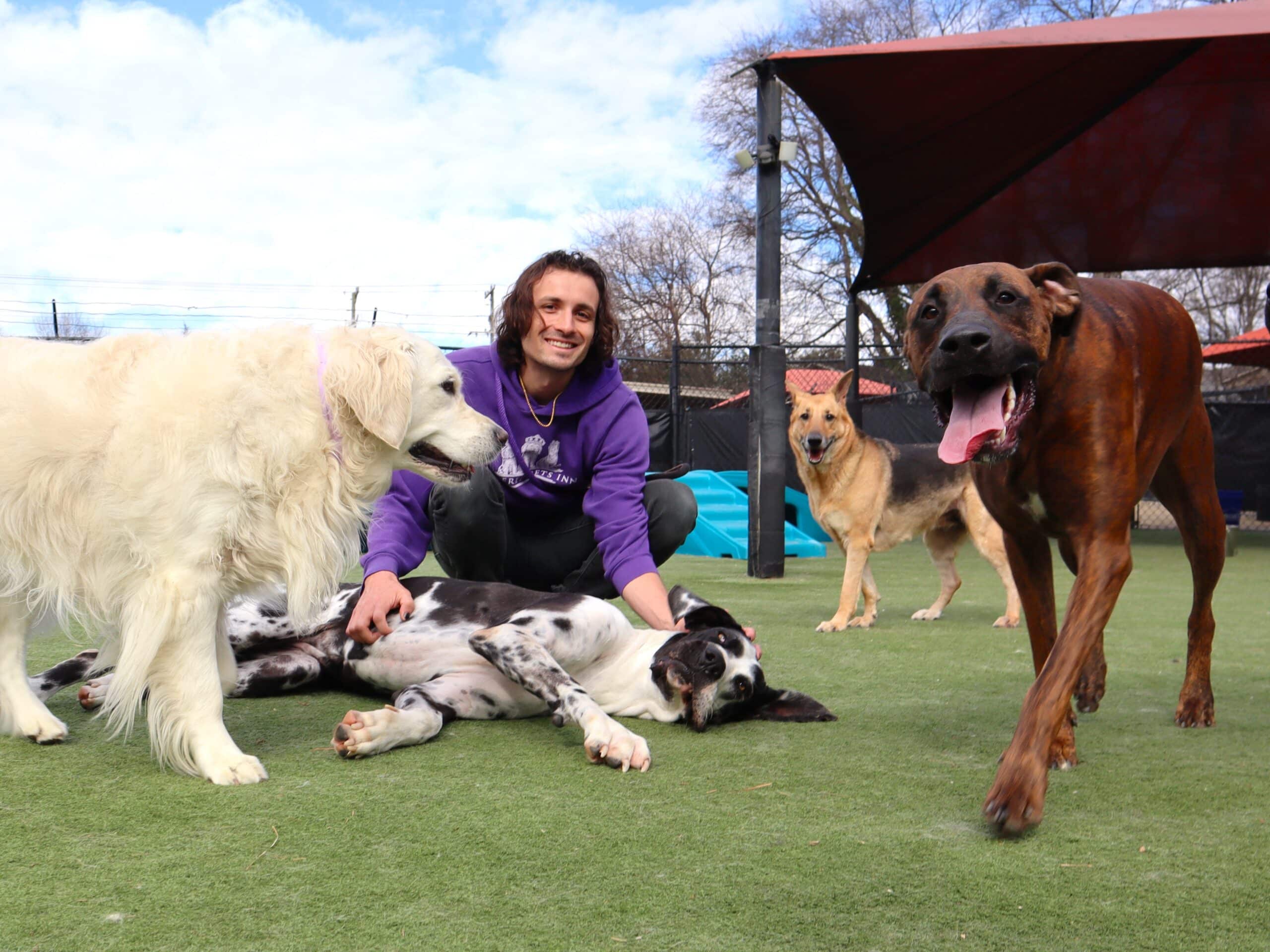 Staff member petting a dog laying on the ground outside in the play yards surrounded by another couple of dogs.