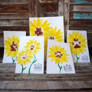 5 flower paintings propped up on a bench