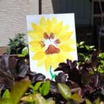 Flower paw painting in a bush