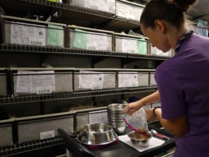 staff member emptying a bag of food into a bowl